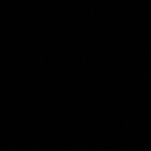 Meet your Posher, Ximena